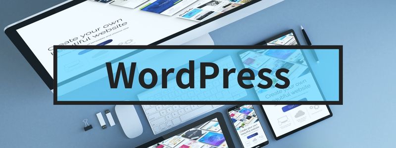 wordpress(800 × 300 px)